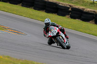 PJ-Motorsport-2019;anglesey-no-limits-trackday;anglesey-photographs;anglesey-trackday-photographs;enduro-digital-images;event-digital-images;eventdigitalimages;no-limits-trackdays;peter-wileman-photography;racing-digital-images;trac-mon;trackday-digital-images;trackday-photos;ty-croes